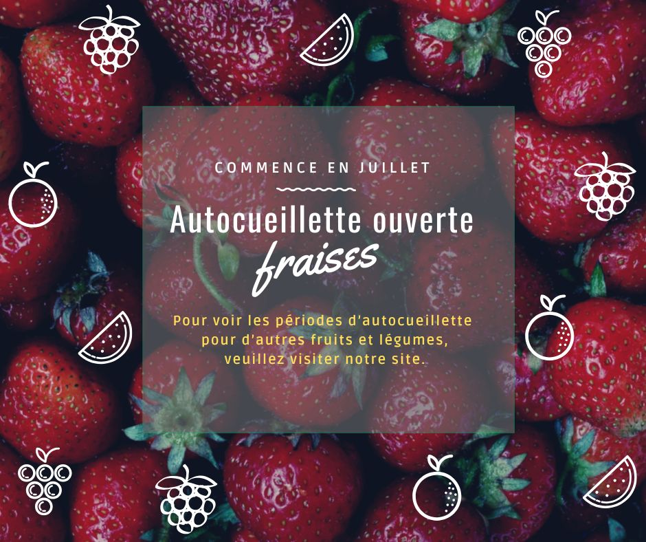 Commence en juillet (2)